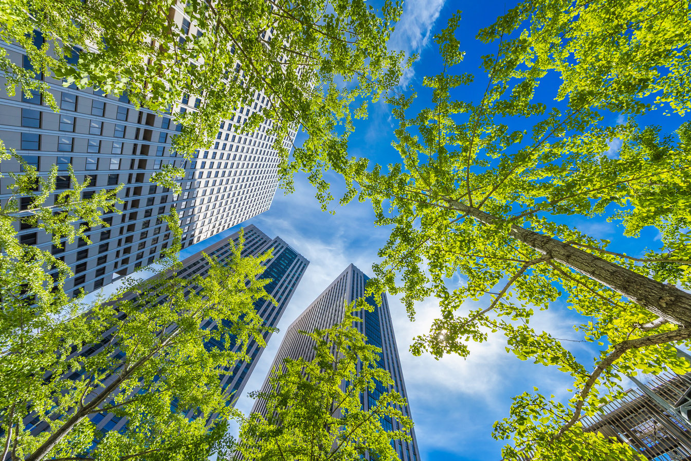 Fresh green and urban buildings